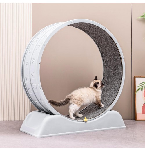 Manufacturer Wholesale Stable Running Wheel Cat Treadmill Exercise Cat Running Wheel Treadmill Fun Interactive Pet Toys Manufacturer Wholesale Stable Running Wheel Cat Treadmill Exercise Cat Running Wheel Treadmill Fun Interactive Pet Toys