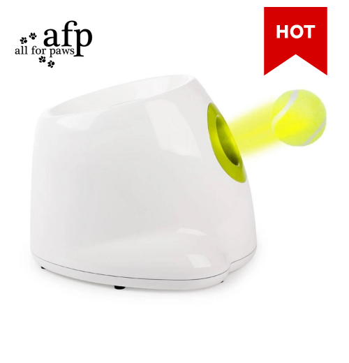 A01 AFP Newest Interactive Pet Dog Fetch Toy Automatic Dog Ball Launcher Electric Auto Dog Tennis Ball Thrower Pet Toy Wholesale A01 AFP Newest Interactive Pet Dog Fetch Toy Automatic Dog Ball Launcher Electric Auto Dog Tennis Ball Thrower Pet Toy Wholesale